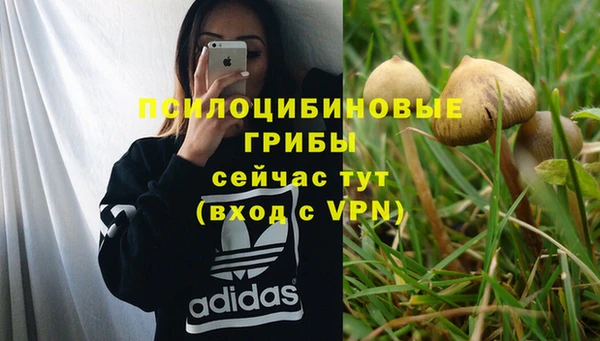 соль ск Покров