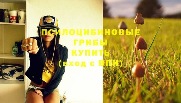 метадон Покачи